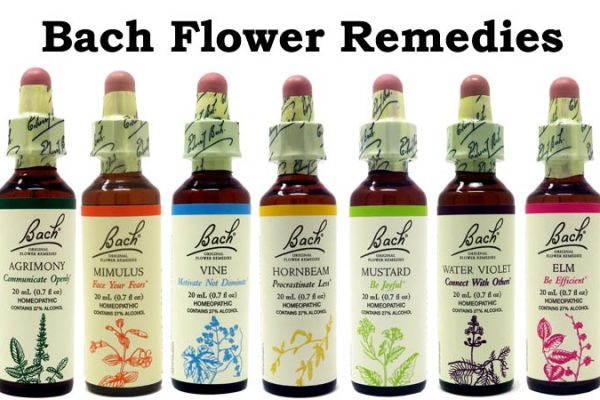 Bach Flower Remedies Homeopathy Cape Town